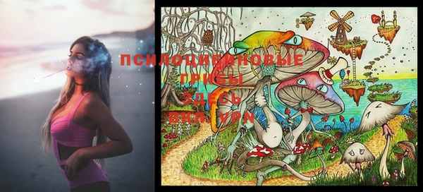 mdma Пролетарск